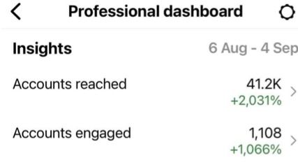 Client Instagram dashboard screenshot