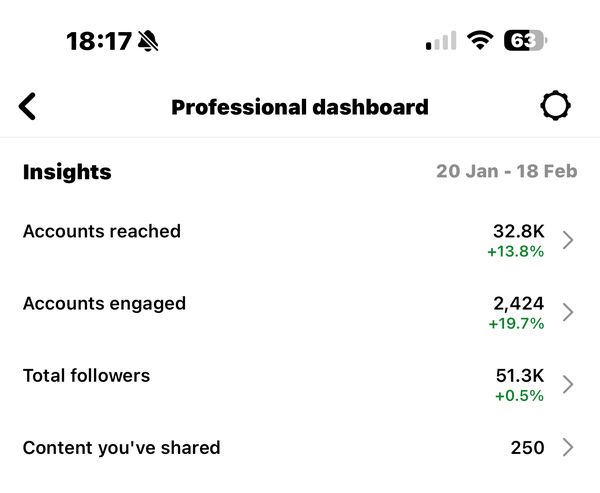 Client Instagram dashboard screenshot